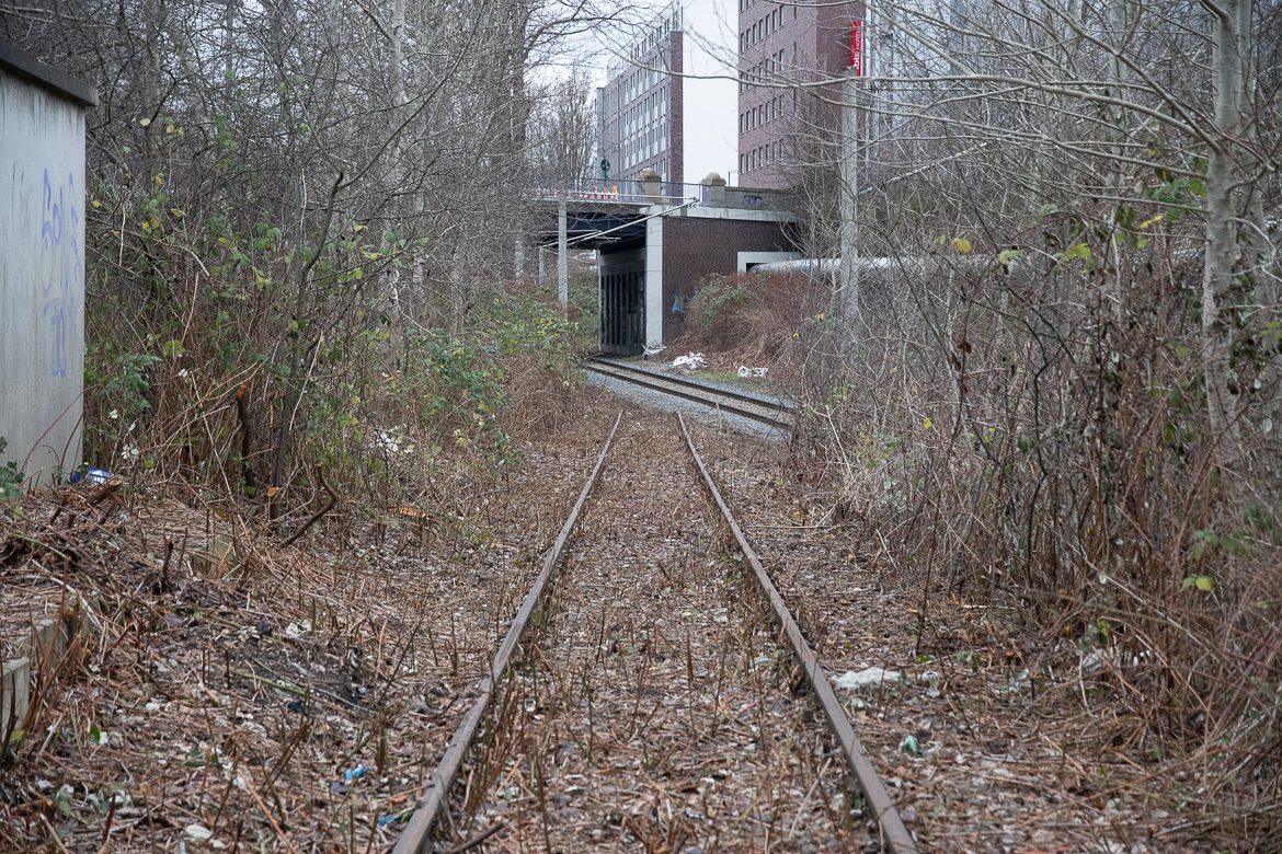 Der Gleisanschluss hat seit einigen Jahren keine Weichenverbindung mehr zur Güterumgehungsbahn. Auffallend ist, dass das alte und zugewachsene Gleis in den vergangenen Wochen freigeschnitten wurde. Frischer Rost auf den Schienenköpfen weist daraufhin, dass das abgeklemmte Gleis erst kürzlich befahren wurden.